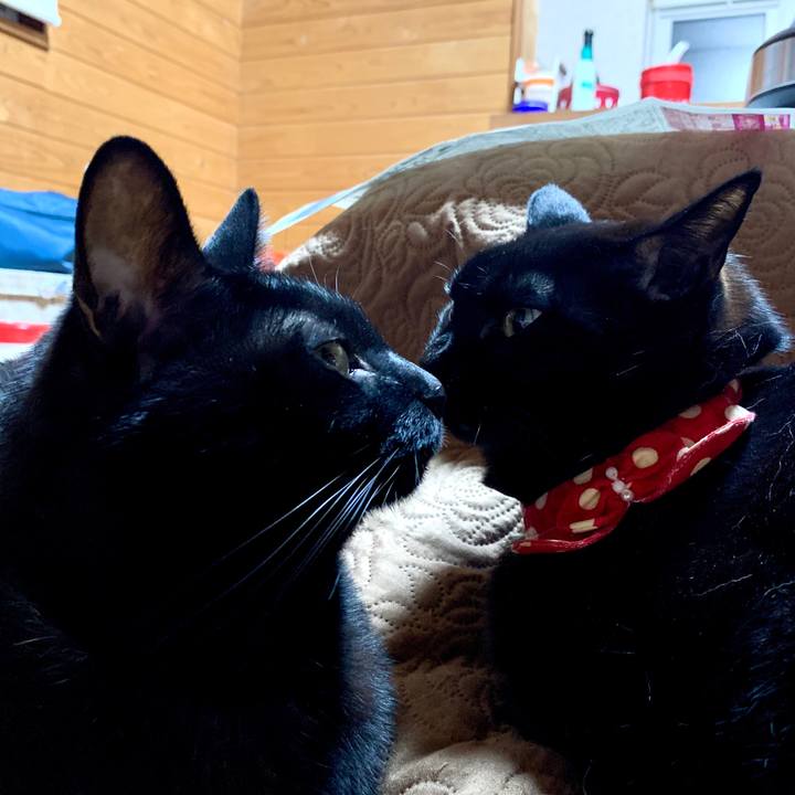 8f923a7a 1414 4979 b075 6ae4835aea51 1579695475879