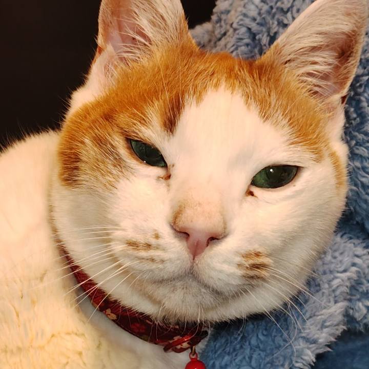 8f92676a 7b2c 4549 899f 47b8f597248a 1769777292385