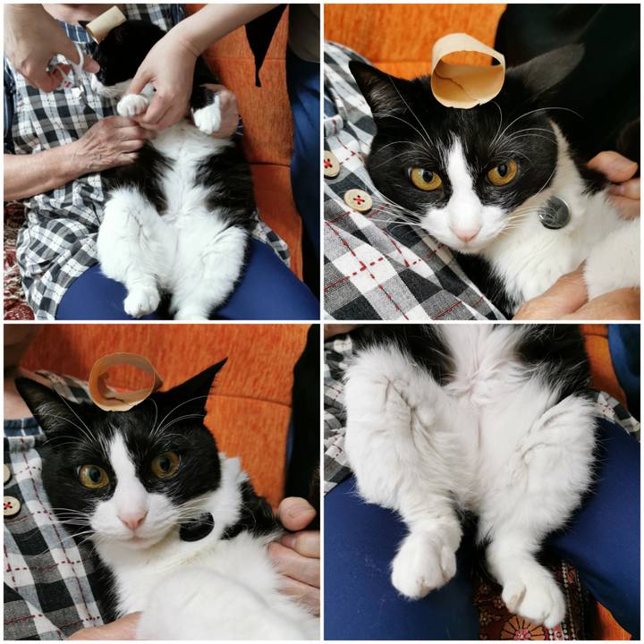 8f928bcb bbee 4626 8b43 29a17338db99 1655263496996