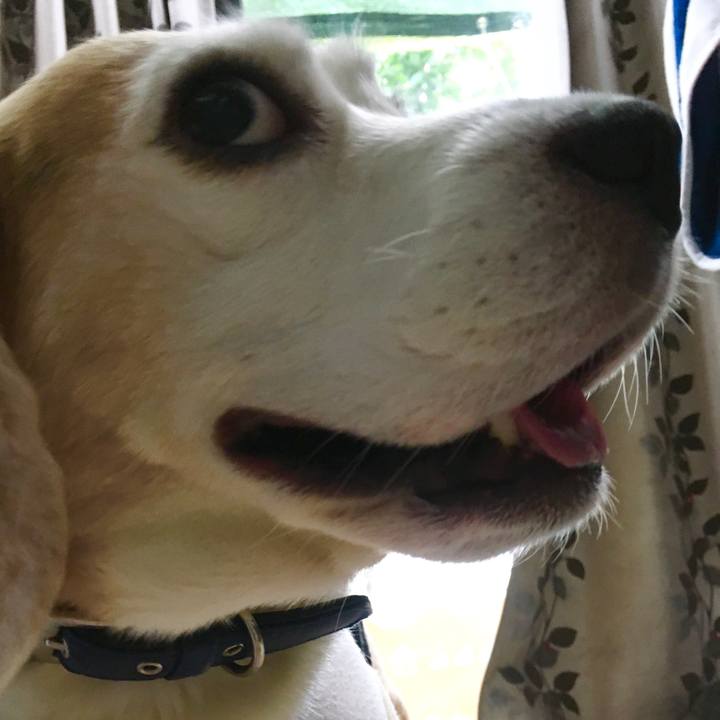 8f935e9f 3d8e 4e37 9c3e d1b1fc73996d 1570765302420