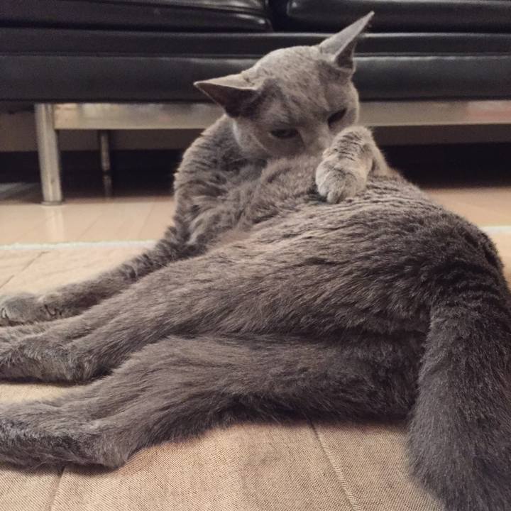 8f93749e 6619 4ba1 bd26 3996b208edc7 1526641875060