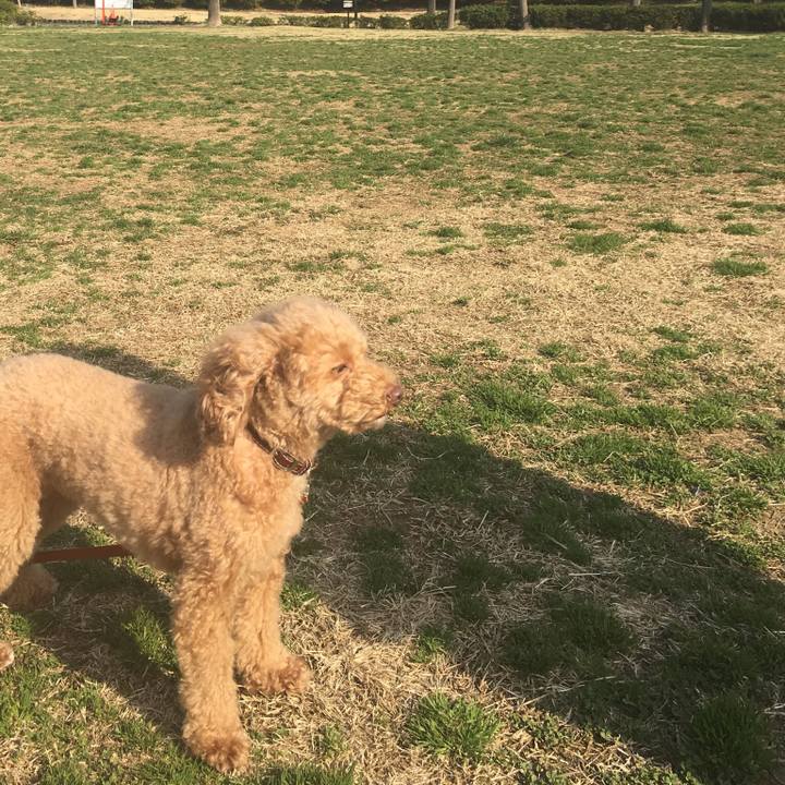 8f93817e a6bd 4e1e a195 48165776a506 1521636536182