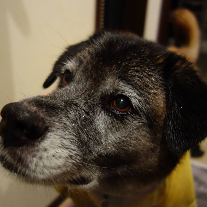 8f939fa8 f5c3 43db a37a 49a9c73e5ac8 1530873885629