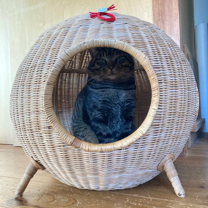 8f93b50e 7e63 4302 bd52 bbea4ca16436 1672702433534