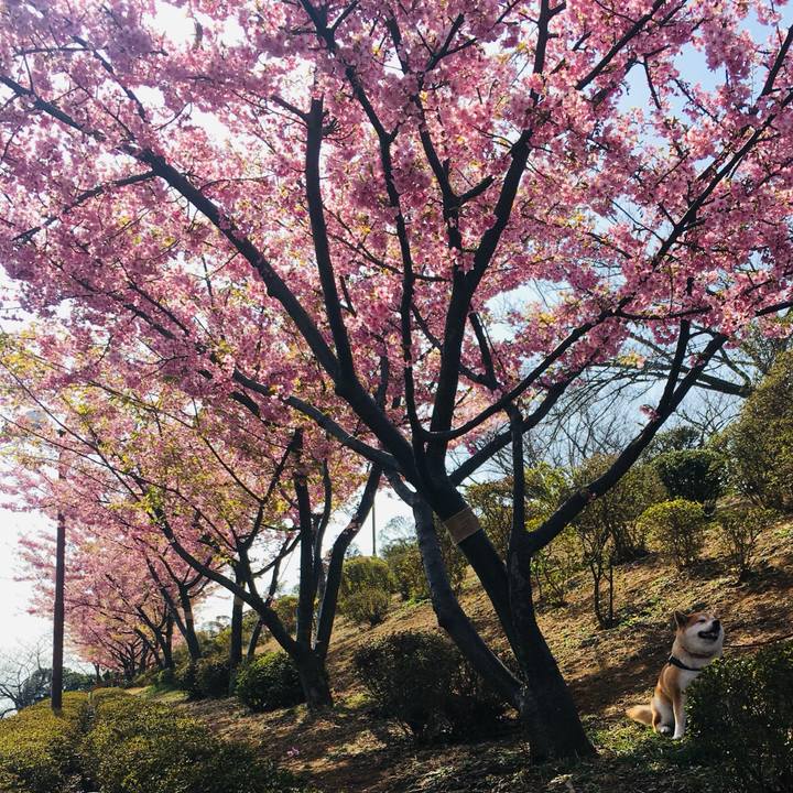 8f93c10b d51f 4767 923a d4f5884605a5 1772790946981