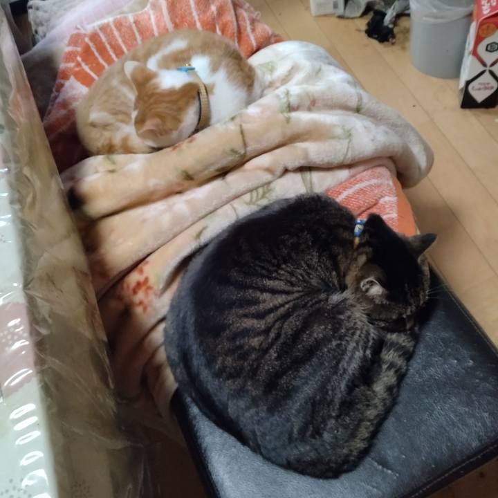 8f93c588 c9b6 4a43 82da f5125acc10f6 1737257722608