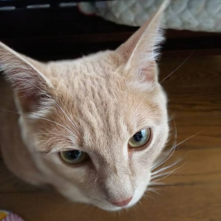 8f93e067 40e5 4876 bf08 e8be9128a21a 1565219150644