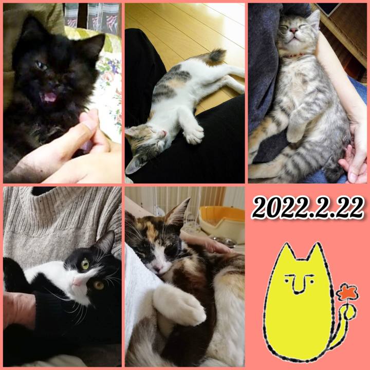 8f94394a 8795 45b4 93bd 81f443939351 1645497831571