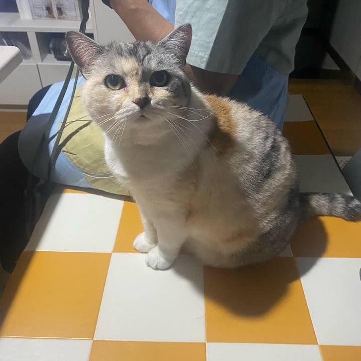 8f94551f 9976 4d0b b15e 7df8ca33464a 1717427738989