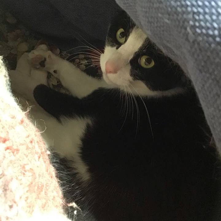 8f947535 25a1 4fa2 8c03 cd976f9f9fc9 1746183536286