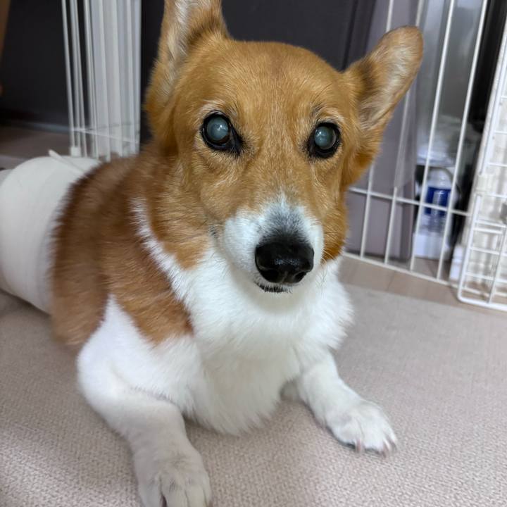 8f94dc63 a782 4297 a0f8 a682a46fdc17 1753182749890