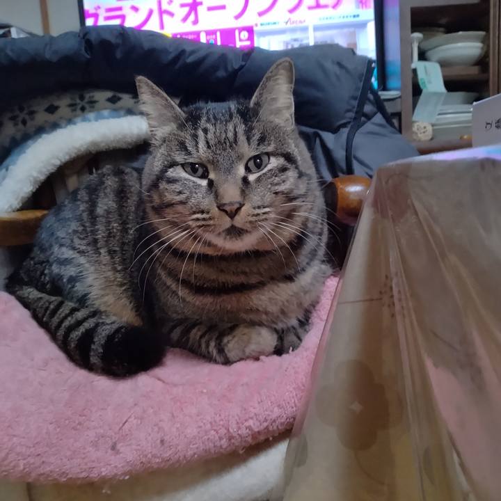 8f94f12d c827 4e50 8e6c a0caef351045 1675240740308