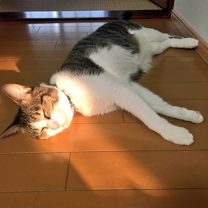 8f95201e 450a 4343 8d25 abd75bf7d031 1531822538147