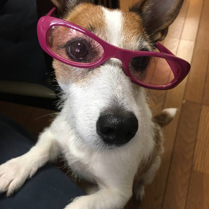 8f95b009 8889 4658 a551 003436dcb580 1595464342338