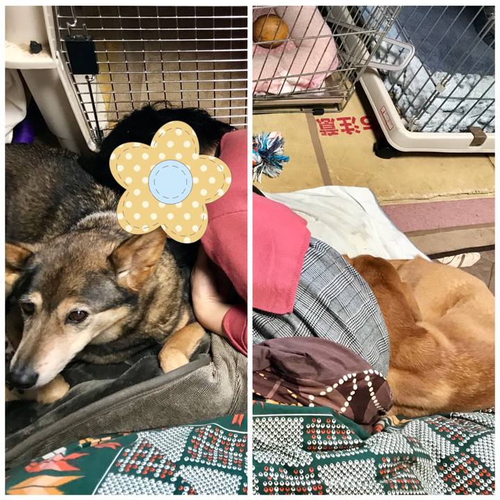 8f95be08 2904 4660 afcb fe0fd66cd4cb 1516273208365