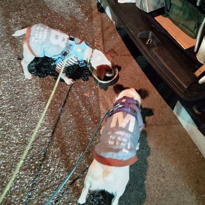 8f95c178 7101 475b 86bd 5534e3381bf1 1649510237074