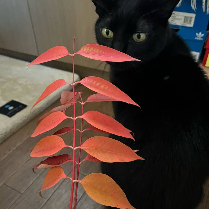 8f95c1b9 3593 4e06 bfae 9e9defea3dbe 1732492885765