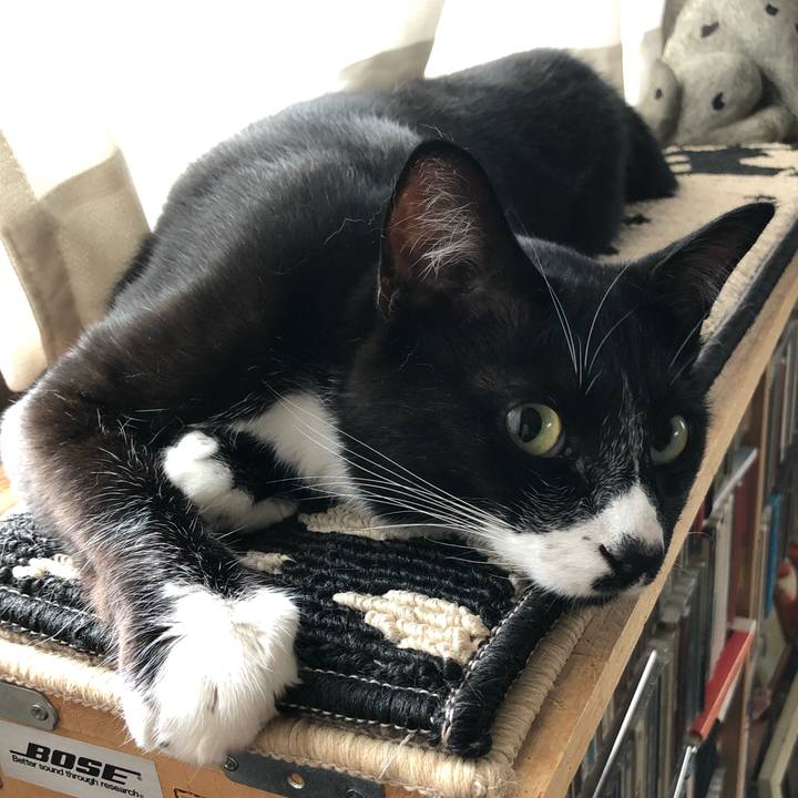 8f95e966 eb1f 408d 888f 494394c21406 1566458542076