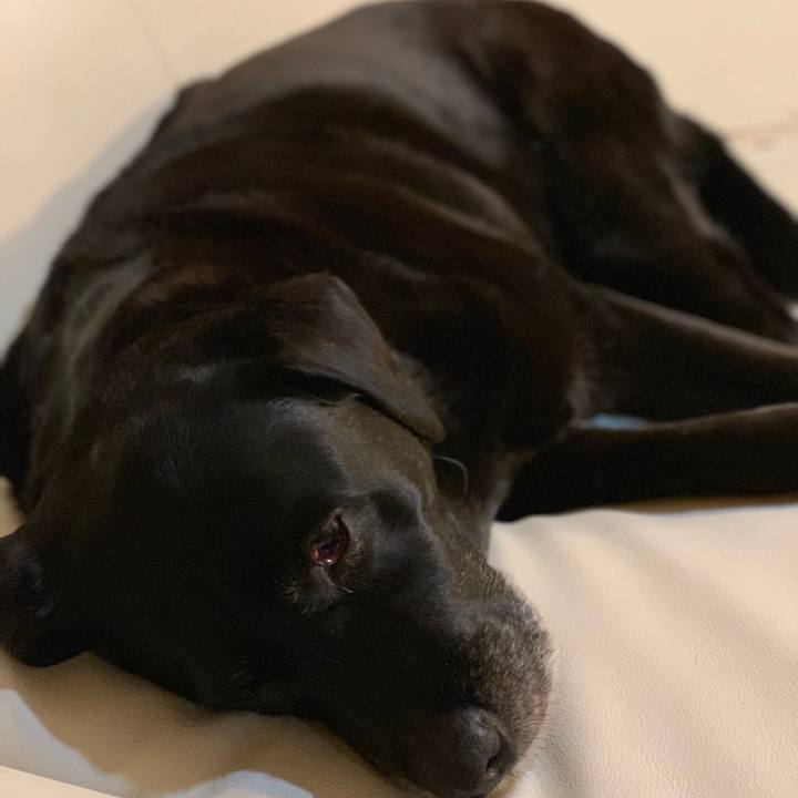 8f95ee28 2aa5 4dff 9fcd bb943184528a 1556109627463