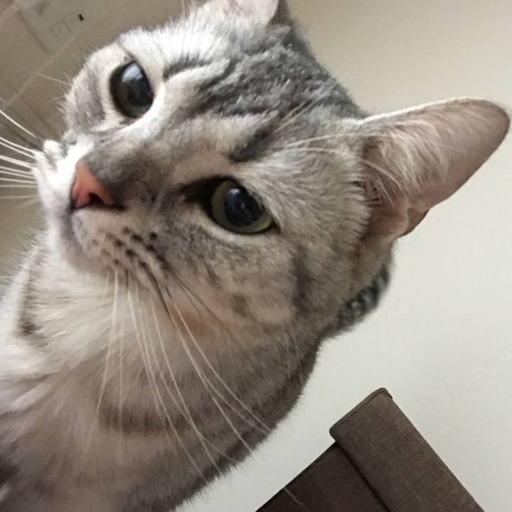 8f960267 9bdc 4e86 9208 eac7401dfb14 1527684159294