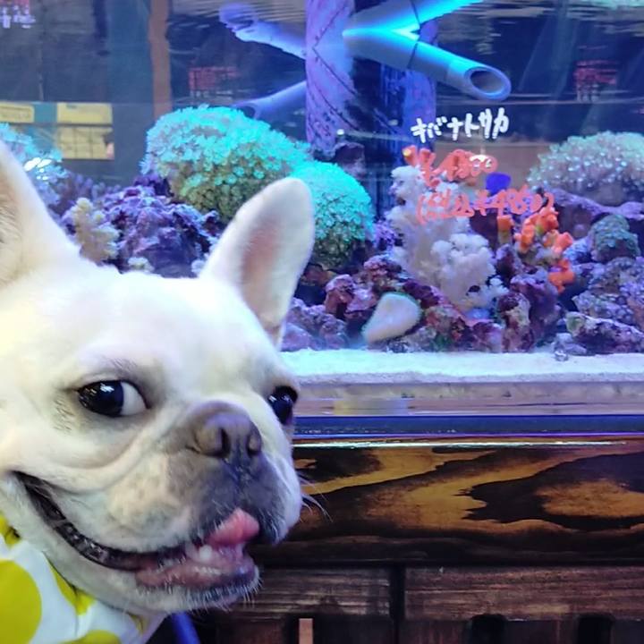 8f964d9a 599d 4e2b 8306 60bca7b96408 1657521709503