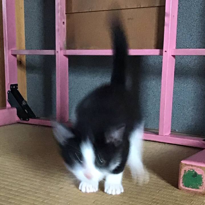 8f969a35 adde 4ff1 bafb a2a138f5b882 1624339283735