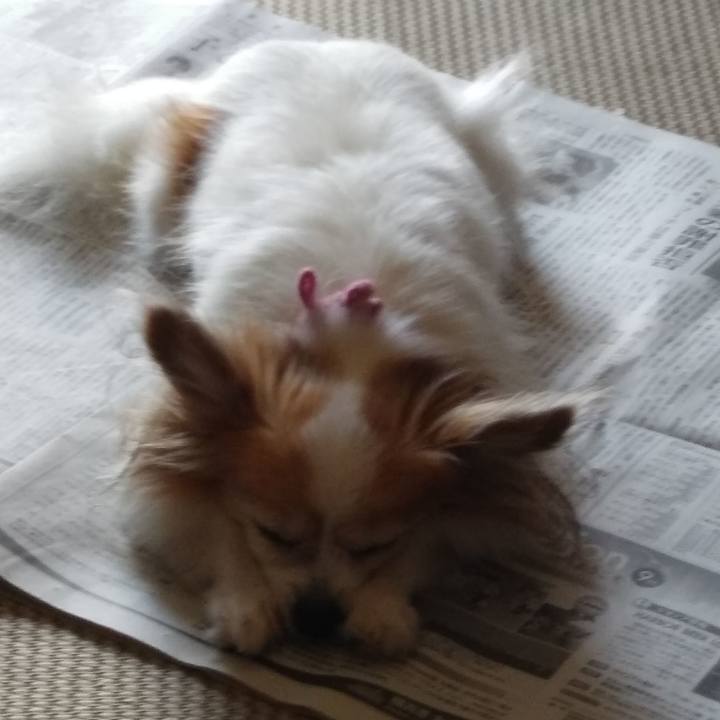 8f96acc2 0f6a 420c 881e 6faf8e42707f 1536195883222