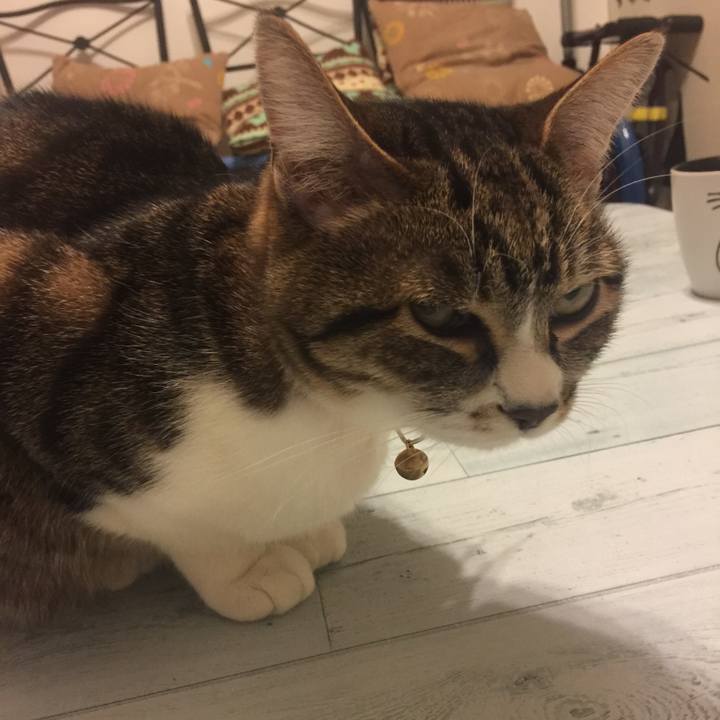 8f971bab 1a96 47fa 8ae1 f67b697d56a8 1554986264538