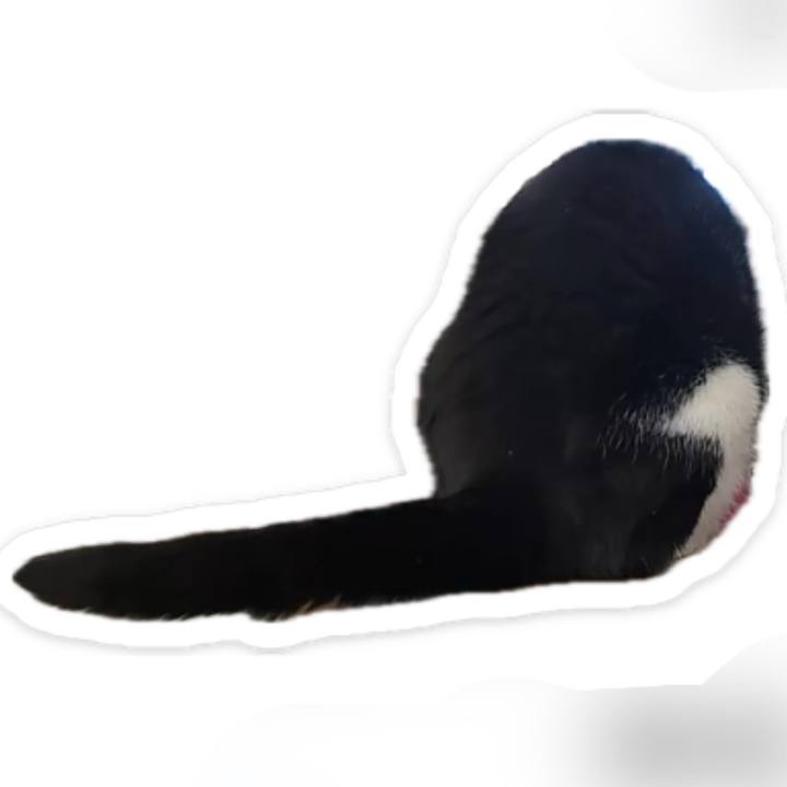 8f975ccf d676 476a 847e 2236db1a30bd 1732344091779