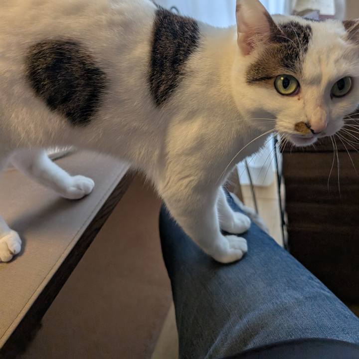 8f978342 b4c0 48da a99f b59387921b22 1746859867557