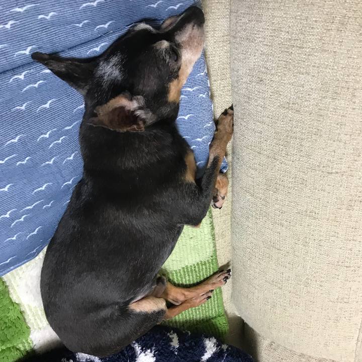 8f9798ea b297 4aae 8f57 f29d3cffb2ac 1539440076343