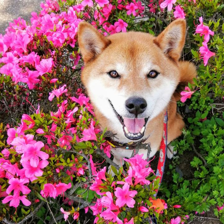 8f97a310 c6da 4ac4 8865 4ff0798d32d1 1622356291949