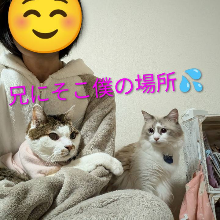 8f97f727 9cc5 4cca ad6e fa9b1ec6800a 1761076449263