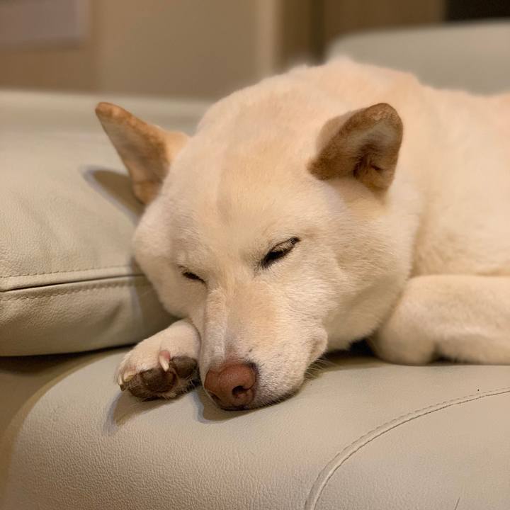 8f980589 b3e7 42f4 b20c f57b98f9ab15 1553692113018