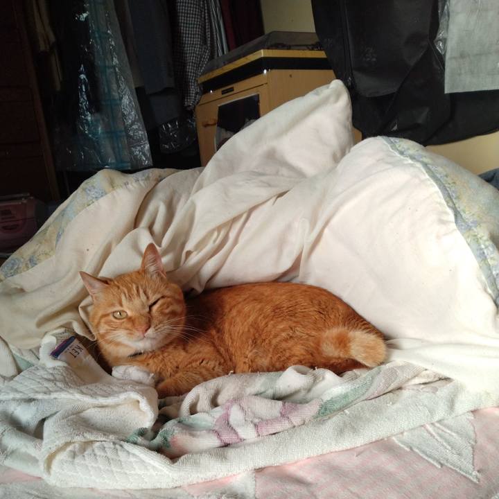 8f981ad5 c815 4408 8546 1d0606e37915 1718057425993