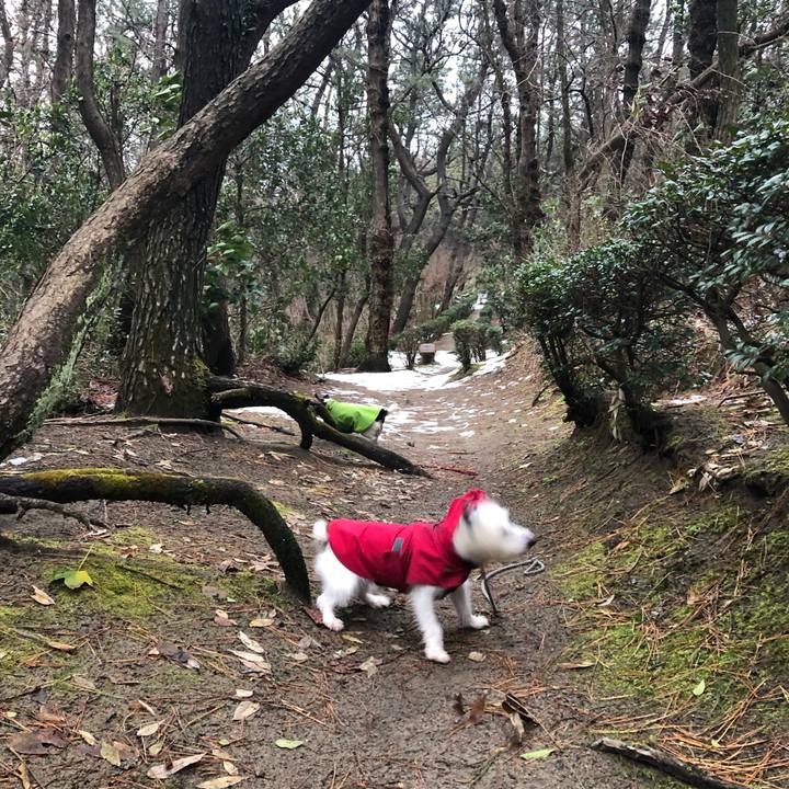 8f982fb1 b8a0 47e6 8a4e 06d89b0d457d 1548720313635