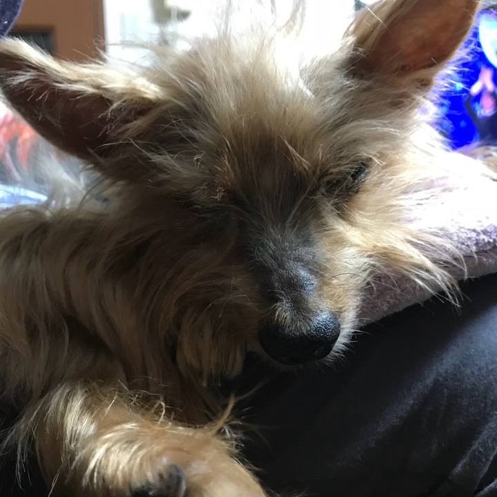 8f9840cb c44a 468a 9d0a 5064cab2d514 1510490573682