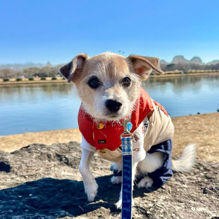 8f984235 c345 46de b73d 451e316c7773 1703844004076