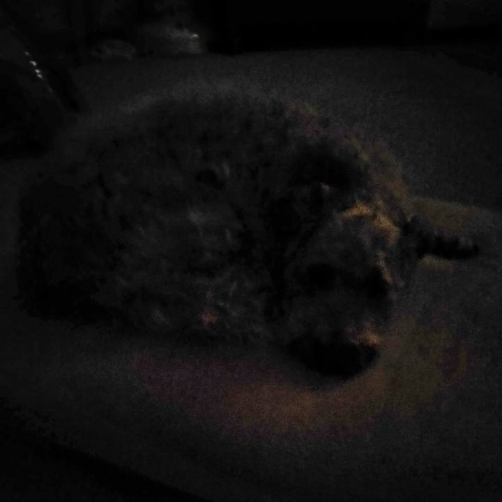 8f98461b 1db8 47ff 8c7a e650279913d4 1595285577469