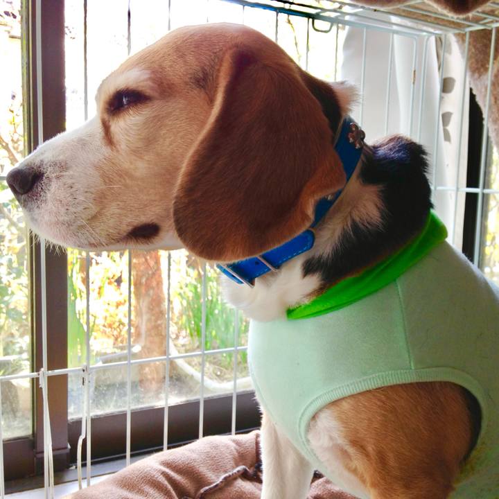 8f9884d1 b9f9 41f5 92a3 6f8129d7b643 1773736762691