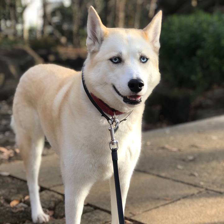 8f98bd80 3f2d 4a5c bd77 bf9ff5a78046 1517272541287