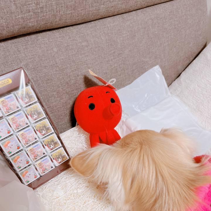 8f98c6d4 f4da 418b a1c3 3f069a83344f 1672056365427