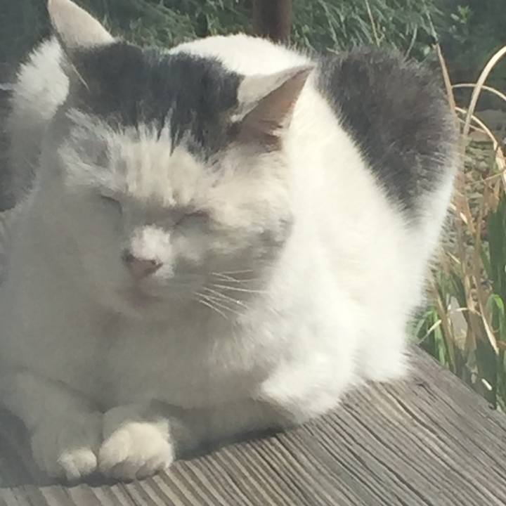 8f98ebe9 97ab 4065 bc5c 3bdffe8ed7a3 1655858133612