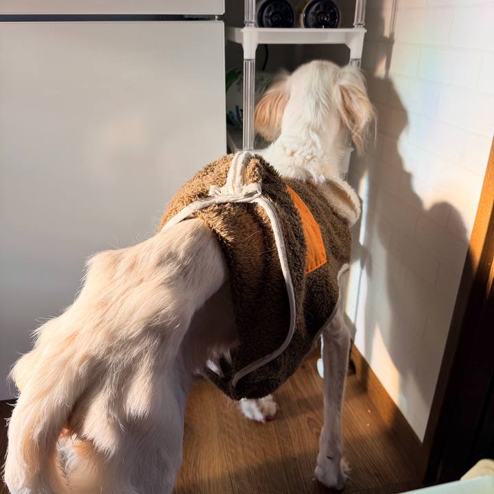 8f98fb9f 8306 4c90 84db 4e2204fb2e0b 1763681858393