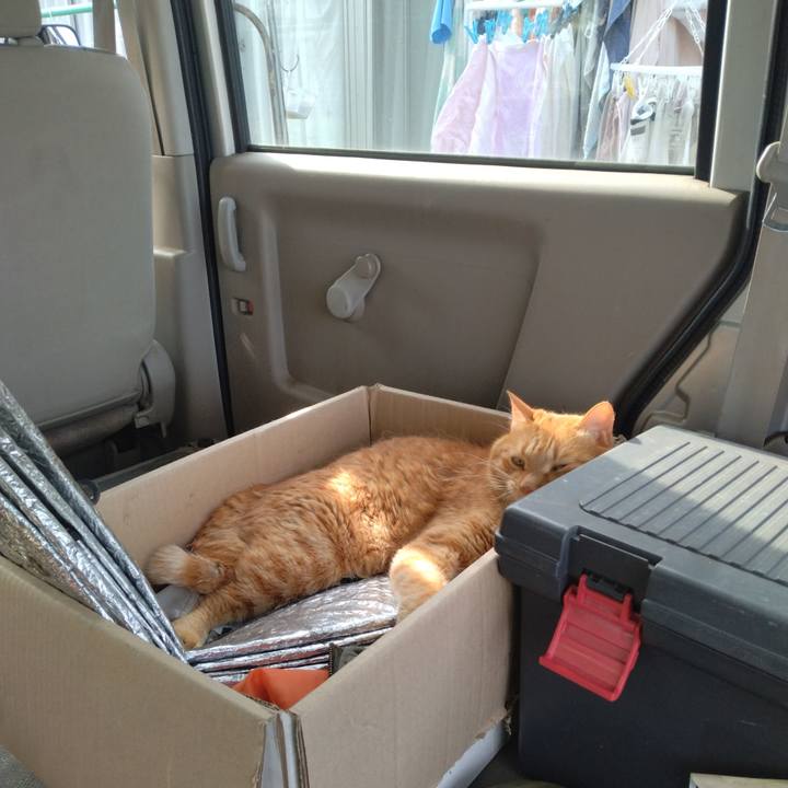 8f990f7d ba01 42b8 9cd0 244dc1cfd919 1719045212896