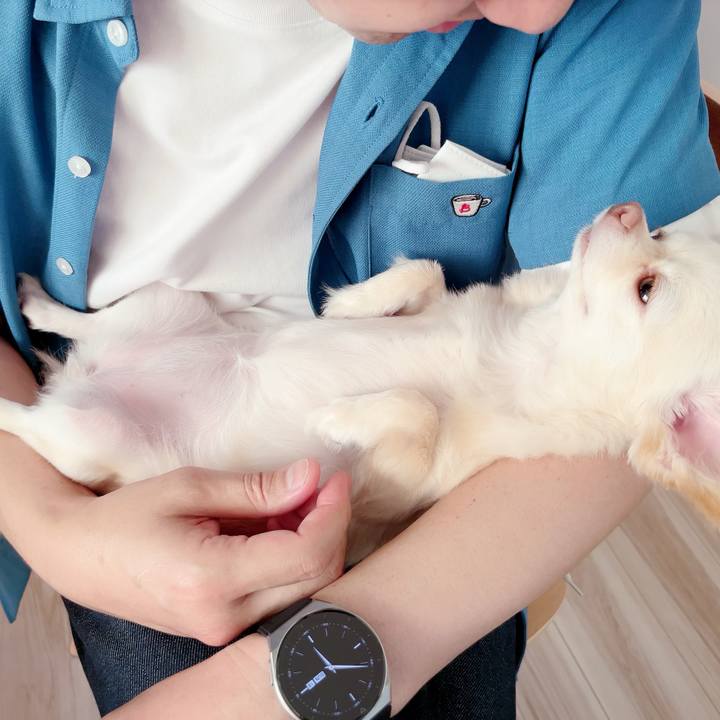 8f9921db 607d 4413 8221 4c82a7a60c34 1687080825174