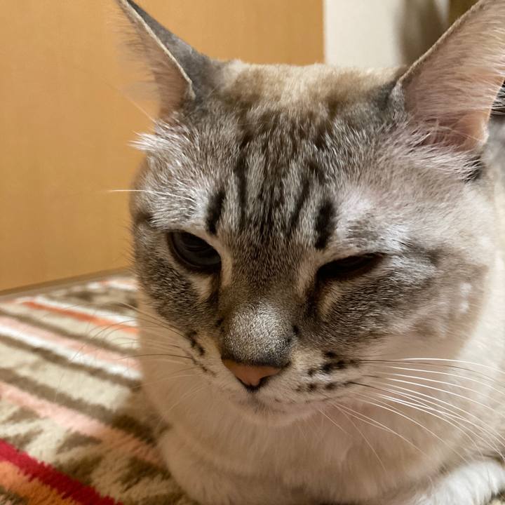 8f992550 5885 4b16 84fe 8627218dba91 1671635412610