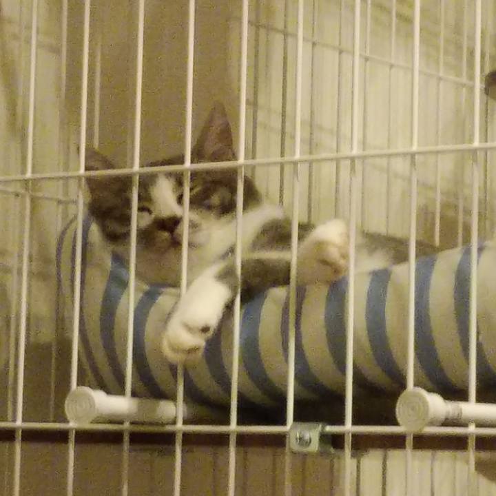 8f992d7b 890e 4af1 a0e6 15f40812bb71 1567008920373