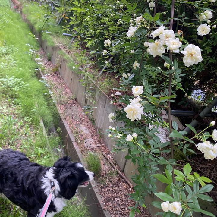 8f994c43 5b1a 46d8 958f e377a727e428 1712912175241