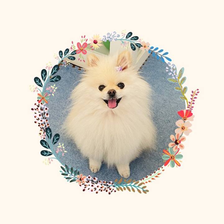 8f997106 5ee4 443c bc70 6c8bf731d4ef 1623650726383